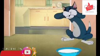 Tom and Jerry cartoon
