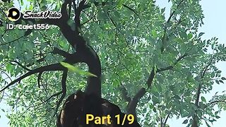 New Comedy Cartoon the lion king 2023