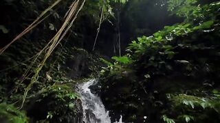 Little things that matter 1minute relaxing video