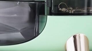 Large cosmatic storage box