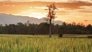 Bersholawat 11