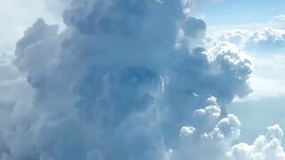 Beautiful nature 384