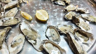 GOOD FOOD, DELICIOUS SEAFOOD, OYSTERS 15