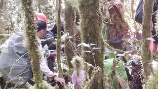 Breaking Through the Undergrowth to Head Back