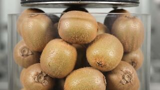 Duku fruit vs hydraulic press