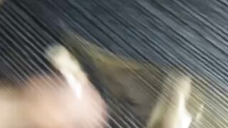Nobody Expected This Fingerboard Trick 👀