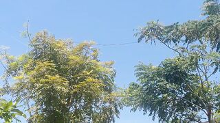 Blue sky 7