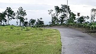 Jamus Tea Plantation