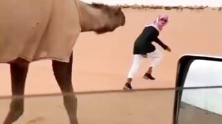 video lucu 32