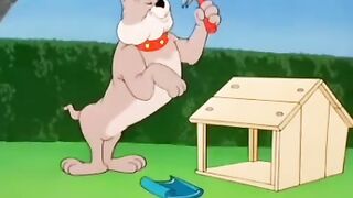 Spike Built His DREAM DOGHOUSE… THEN TOM CRASHED THROUGH THE ROOF! 🔨🏡💥 (Bulldog Rage)