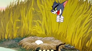Tom Stole An Egg From The Swamp… BUT LOOK WHAT HATCHED IN THE SKILLET! 🍳🐣😱 (Too Cute To Eat)