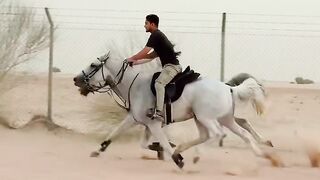 Good horse riding