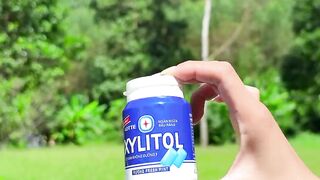 Survival Skills_ SMART idea and USEFUL in forest #bushcraft #camping #outdoors #survival26