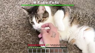 pretending to pet him until he crashes out