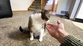 What if he doesn't want to play?