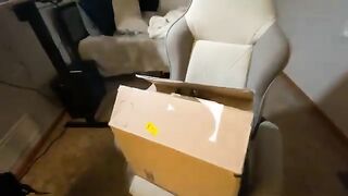 Collector's Edition Premium Car Unboxing
