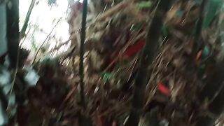 Petualangan mistis