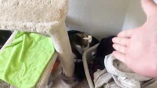 genuinely loosing his mind over my dirty laundry