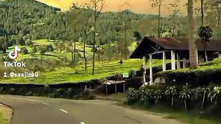 OLD SONG 2