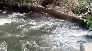 Air sungai yang melimpah