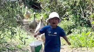 Babies vs Animals: Funniest Baby Animal Moments 😂🐾