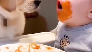 Toddler & Pet Best Friends 😂🐱🦮 Cutest Baby Animal Moments!