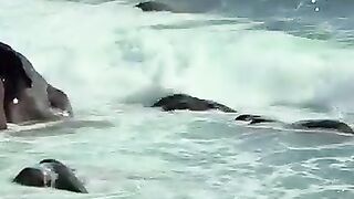 తెలుగు సినిమా పాటలు