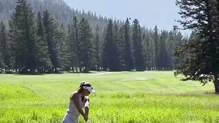 Golf Club