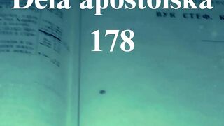 Dela apostolska 178
