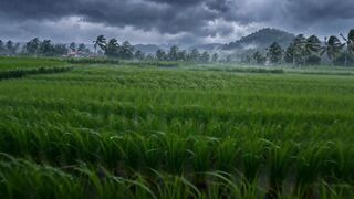 Thunderstorm Over Green Fields