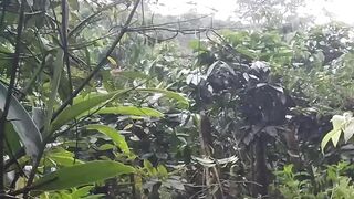 Emerging from the Mount Patah Forest