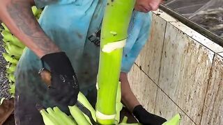 Masterfully to cut banana👍👏