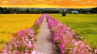 Jalan jalan di negri orang