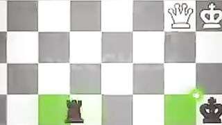 The Moment You Turn a Pawn into a Queen..♟️🔥 | White Endgame