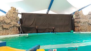 Holiday on Ancol