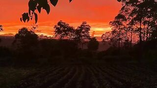 sunset brings tranquility