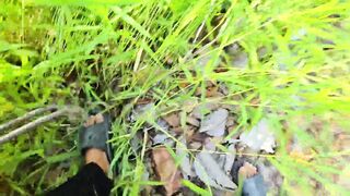 Catch Amazing 7 Wild Creatures, Beetle, Scorpion, Giant Millipede, Pill-Millipede, Red Millipedes