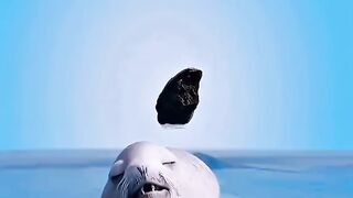 Random Facts That Will SHOCK You! 🤯😱