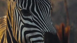 Travel in Tanzania