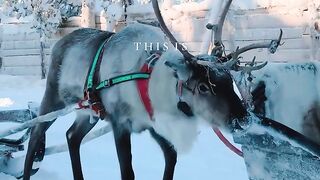 This is finland