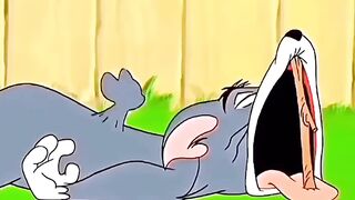 Tom Hid In Spike’s Mouth To Escape A Bone… AND GOT TURNED INTO A BICYCLE TIRE! 🦴🚴‍♂️😱 (Instant Deflation)