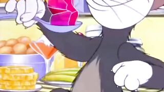 Tom Swallowed A Jello Cube Whole… WATCH WHERE IT DROPPED IN HIS STOMACH! 🍮🤣 (Anatomy of a Cat)