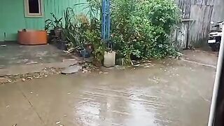 Rainy Days 3