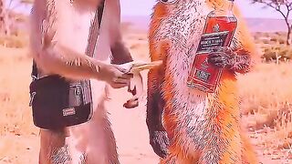 Monkey takes revenge on lion