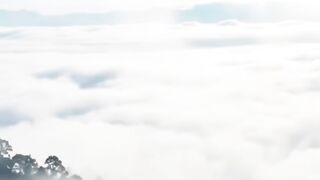 Beautiful 767