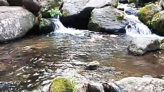 a beautiful river