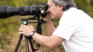 Wild Birds in Their Natural World 🦅🌿 | A Wildlife Photographer’s Dream