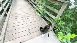 Gulliver be traveling