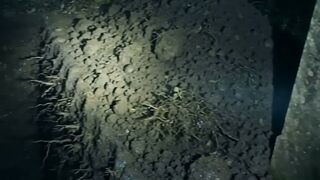 The GPS Kept Taking Me Back To The Same Grave 😱 | Horror Story #shorts