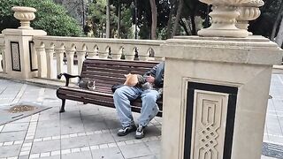 A Man is Sleeping in the Park Among Cats.